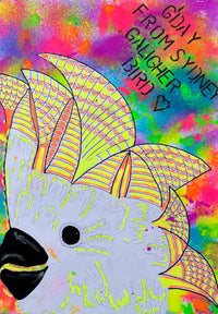 G’Day from Sydney Galigher Bird