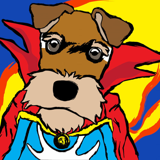 SUPERHERO - Dr Airedale