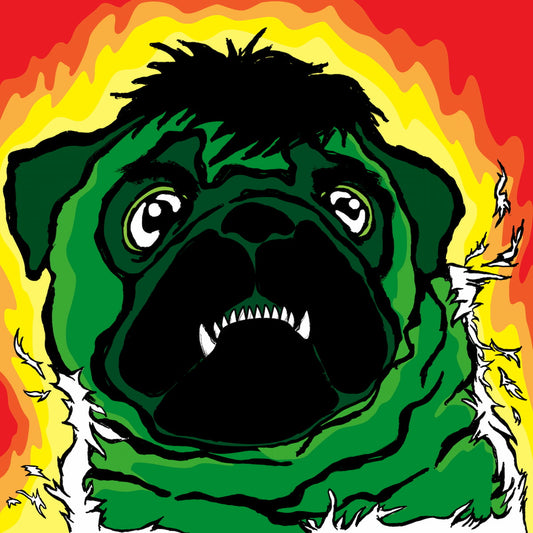 SUPERHERO - The Incredible Pug