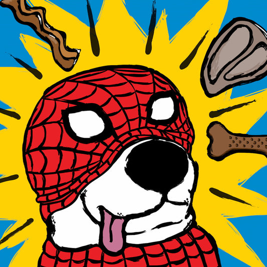 SUPERHERO - Spiderdog